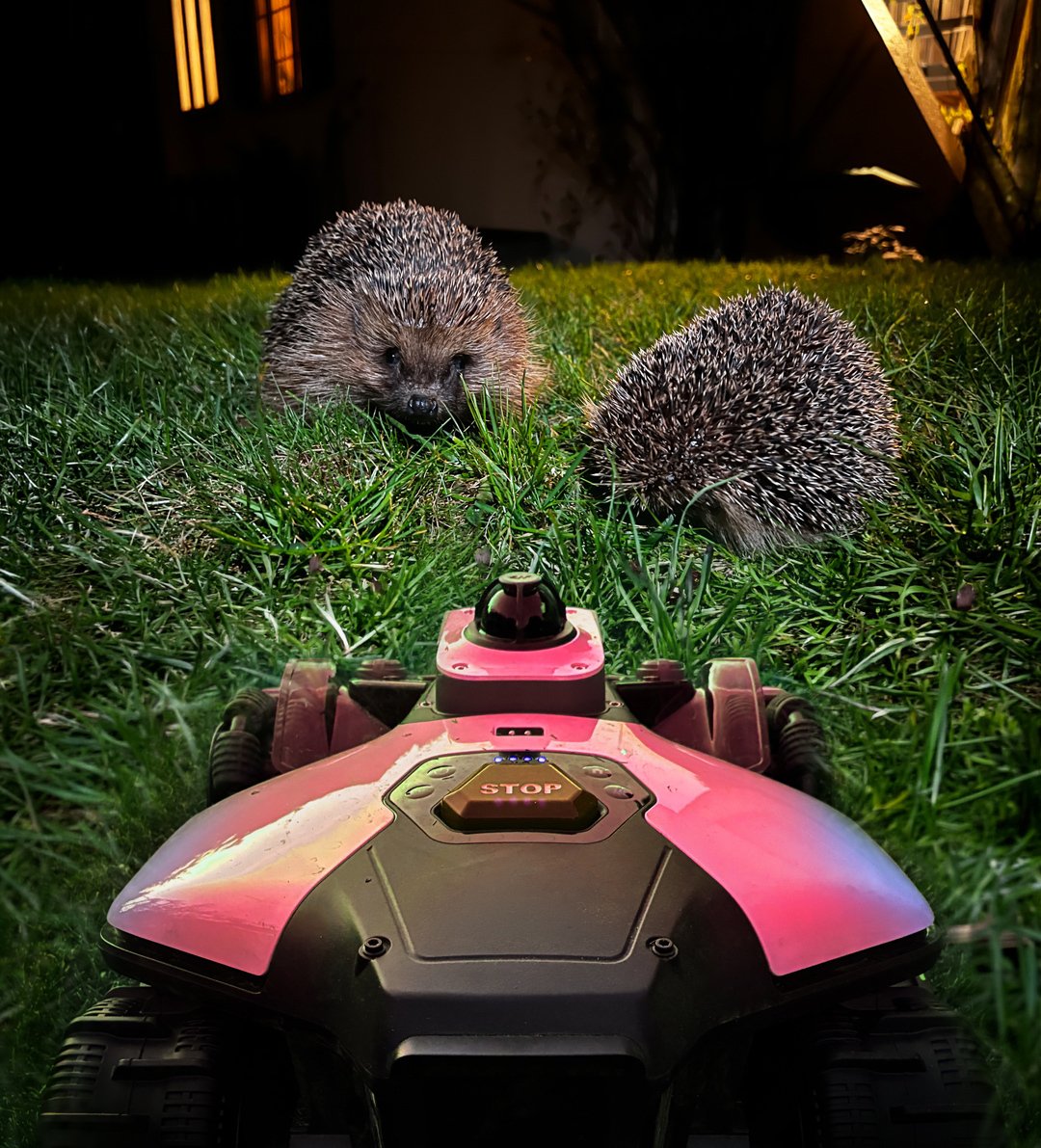 Fotomontage: Andrea-Hunziker