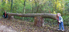 Allschwiler Wald Allschwiler Wald